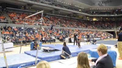 Auburn Bri Guy 9875 UB