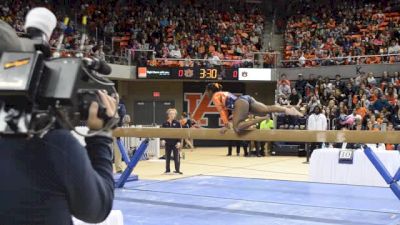 Auburn Bri Guy 9900 BB