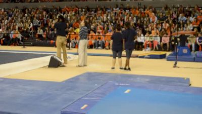 Auburn Bri Guy 9900 VT