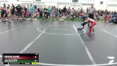 48 lbs Round 2 (6 Team) - Memphis Raines, Team West Virginia Gold vs Grayson Bish, Revolution Elite