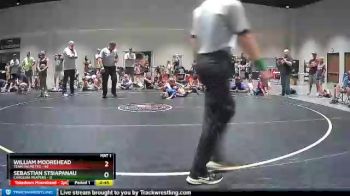 95 lbs Finals (2 Team) - William Moorehead, Team Palmetto vs Sebastian Stsiapanau, Carolina Reapers