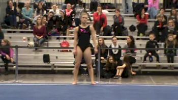 Triad (Danielle Breen) - FX 9.625 3rd