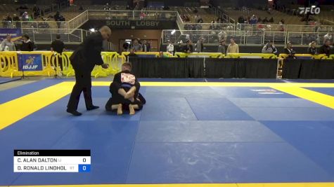 CHRISTOPHER ALAN DALTON vs DAVID RONALD LINDHOLM LLL 2024 Pan Jiu Jitsu IBJJF Championship