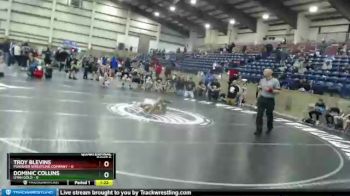 45 lbs Quarters & Wb (16 Team) - Dominic Collins, Utah Gold vs Troy Blevins, Punisher Wrestling Company