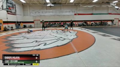 86 lbs Quarterfinal - Cody McCabe, Lander Tiger Tough Wrestling vs Parker Nelson, Riverton USA Wrestling