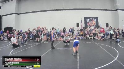 90 lbs Semifinal - Charles Robison, Palmetto State Wrestling vs Mason Bigler, Legacy Elite