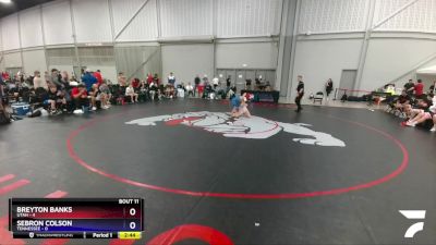 113 lbs Quarters & 1st Wb (16 Team) - Breyton Banks, Utah vs Sebron Colson, Tennessee