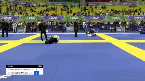 DAYANNA DAS NEVES GOMES DE SOUZA vs HELENA TORRES LIMA DE CASTRO 2024 Brasileiro Jiu-Jitsu IBJJF