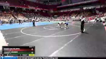 132 lbs D2/d3 - Semi-finals (sat 10:00am.) - Chance Gruber, Coleman vs David San Felippo, Random Lake