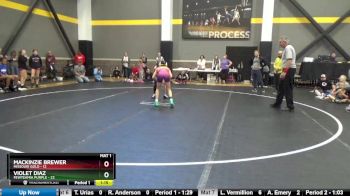 91 lbs Round 1 (4 Team) - Mackinzie Brewer, Missouri Gold vs Violet Diaz, FEWTeamIA Purple