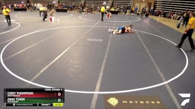 133 Championship Bracket Cons. Round 4 - Dino Tokin, Woodbury vs Cody Thompson, New Prague