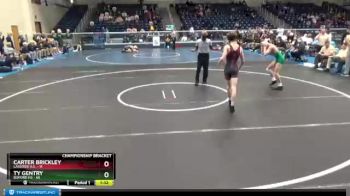113 lbs Quarterfinals (8 Team) - Ty Gentry, Buford HS vs Carter Brickley, Lassiter H.S.