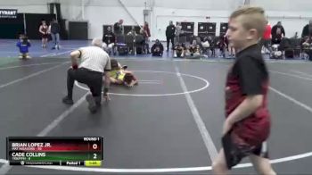96 lbs Round 1 (8 Team) - Brian Lopez Jr., Mat Assassins vs Cade Collins, Triumph