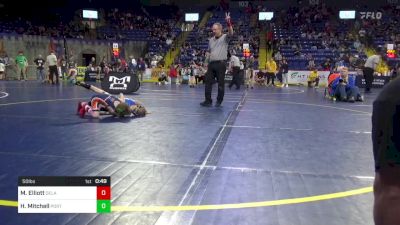 50 lbs Consy 6 - Maverick Elliott, Delaware Valley vs Hoyt Mitchell, Port Allegany