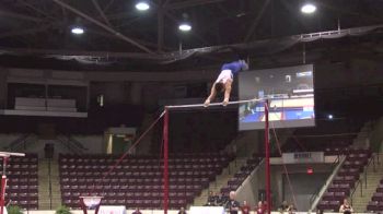 Brazil, Sergio Sasaki Junior EF, HB