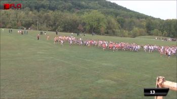 Men's 8K - Brown Race