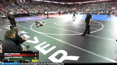 D3-113 lbs Semifinal - Brett Birchman, Fennimore vs Maddux Wendling, Valders