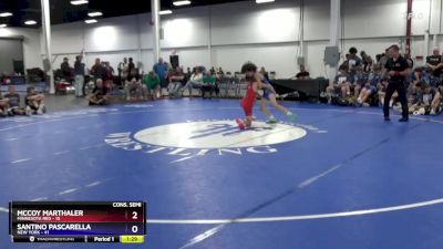 77 lbs 4th Wrestleback (16 Team) - McCoy Marthaler, Minnesota Red vs Santino Pascarella, New York