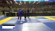 MICHAEL RYAN FINK vs BRUNO RIBEIRO FERNANDES MENDES 2024 Pan Jiu Jitsu IBJJF Championship