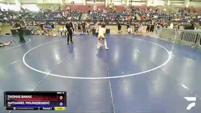 125 lbs Cons. Round 3 - Thomas Banas, IL vs Nathaniel Moungsiharat, TN