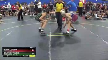 95 lbs Round 3 (6 Team) - Gavin Landers, Team Iowa Red vs Braydon Tougas, Peer Pressure Elite