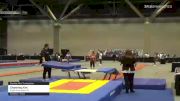 Channing Kim - Double Mini Trampoline, Eagle Gymnastics TX - 2021 USA Gymnastics Championships