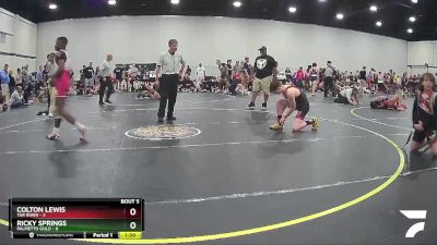 117 lbs Round 3 (4 Team) - Ricky Springs, Palmetto Gold vs Colton Lewis, Tar River