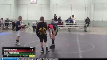 96 lbs Finals (2 Team) - Declan Jewell, PA Alliance Blue vs Paul Fitzpatrick, Nauman