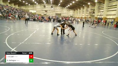 115 lbs Cons. Round 3 - Ash Call, Mountain View vs Skylar Gallegos, Central - Grand Junction