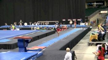 Hailey Garner - Vault, Arkansas - GymQuarters Invitational (NCAA)