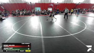 67 lbs Cons. Round 2 - Gionni Zapf, Alber Athletics Wrestling Club vs Henry Nelson, Minnesota