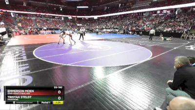 D3-160 lbs Quarterfinal - Tristan Steldt, Fennimore vs Emmerson Moen, Iowa-Grant/Highland