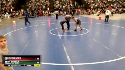 125 lbs Quarterfinal - Tevin Smith Jr, Sherman Challengers vs Breckyn Knaub, 2TG