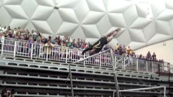 LSU, Randii Wyrick, 9.875 UB