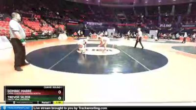 3A 120 lbs Champ. Round 1 - Dominic Marre, Carol Stream (Glenbard North) vs Trevor Silzer, Tinley Park (Andrew)