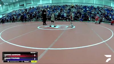 43 lbs Round 1 - Briggs Poupard, MI vs Sammie Hammons, OH