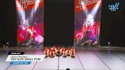Dance Dynamics - Tiny Elite Small Pom [2024 Tiny - Pom Day 1] 2024 Just Dance Houston Showdown
