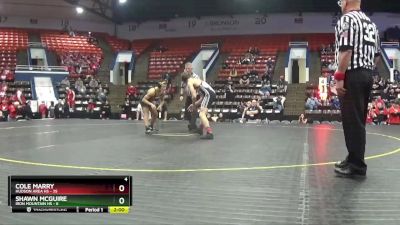 132 lbs Quarterfinals (8 Team) - Cole Marry, Hudson Area HS vs Shawn Mcguire, Iron Mountain HS