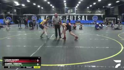 138 lbs Round 3 (8 Team) - Gabriel Gibbons, Michigan Gold Pitbulls vs Logan Olesky, Mi Mafia White