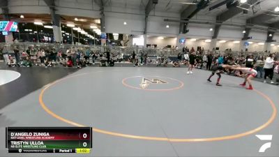 113 lbs Semifinal - D`Angelo Zuniga, NXT Level Wrestling Academy vs Tristyn Ulloa, NB Elite Wrestling Club