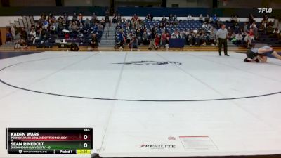 133 lbs Finals (2 Team) - Kaden Ware, Pennsylvania College Of Technology vs Sean Rinebolt, Shenandoah University