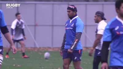 Cheika Defends Selection Decisions