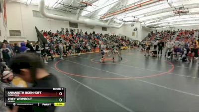 110 lbs Round 4 - Zoey Wombolt, Laurel vs AnnaBeth Bornhoft, Wind River