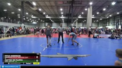 113 lbs Round 2 (4 Team) - Matteo De Filippo, GREAT NECK WC vs Titus Anderson, SHENANDOAH VALLEY WRESTLING CLUB