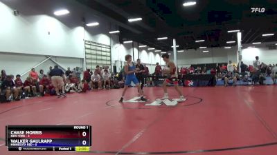 114 lbs Round 1 (8 Team) - Chase Morris, New York vs Walker Gaulrapp, Minnesota Red