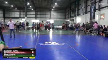 150 lbs Cons. Semi - Cameron Curva, North Carolina Wrestling Factory vs Parker York, Darkhorse