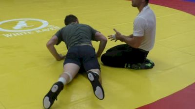 Humphrey-Metcalf-Hutter-Stieber