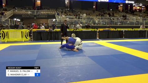 FRANCO MANUEL D. PALOMINO vs DAVID MAHONRI CLAY 2024 Pan Jiu Jitsu IBJJF Championship