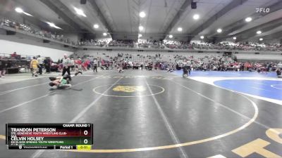 85 lbs Champ. Round 1 - Celvin Holsey, Excelsior Springs Youth Wrestling Club-AAA vs Trandon Peterson, Ste. Genevieve Youth Wrestling Club-AAA