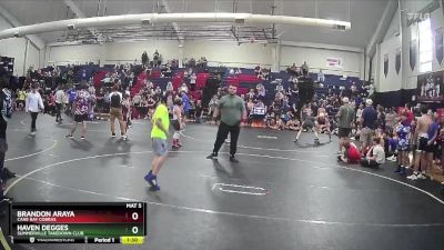 85 lbs Round 2 - Brandon Araya, Cane Bay Cobras vs Haven Degges, Summerville Takedown Club